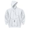 UltraBlend Pullover Hooded Sweatshirt Thumbnail