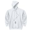 UltraBlend Pullover Hooded Sweatshirt Thumbnail