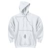 UltraBlend Pullover Hooded Sweatshirt Thumbnail